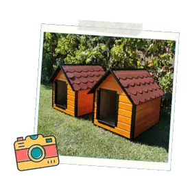 Cuști Câini Talie Mare Livrate în Călărași