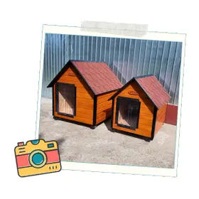 Custi Caini Izolate Athos