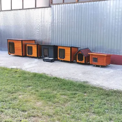 Livrare Septembrie Poza 1