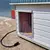 Perdea PVC Flexibil Intrare Usa Cusca Caine Talie Extra Mare AtviPets Imagine 9