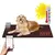 Incalzire Cusca Caine Talie Mare Prin Podea Cu Control Wireless Din Telefon Imagine 