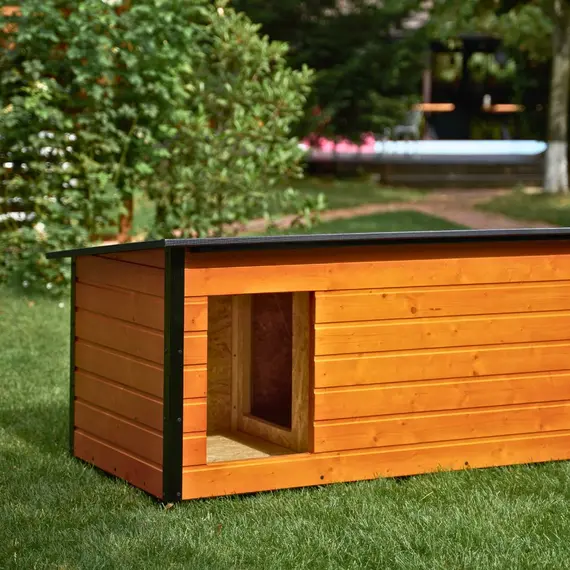 Cușcă Câine, Talie Mare, Cu Hol, Izolată Termic, Protecții Anti Ros, Coteț Câine DSI3-HOL Imagine 12