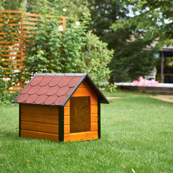 Cușcă Câine, Talie Medie, Izolată Termic, Protecții Anti-Ros, Coteț Câine ASI2 Imagine 8