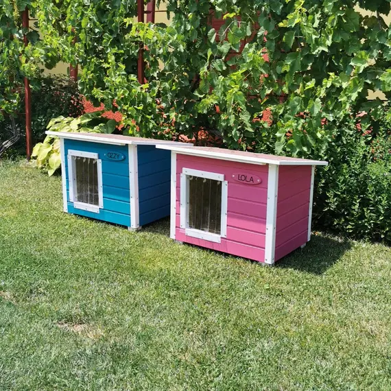 Placuta Nume Natur Pentru Custile De Animale Imagine 11